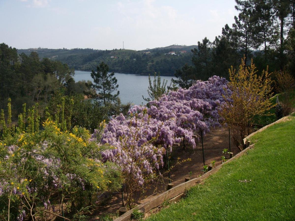 Quinta do Troviscal Castelo do Bode Exterior foto